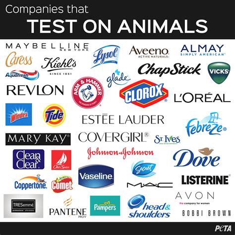 Companies That Do Test on Animals .